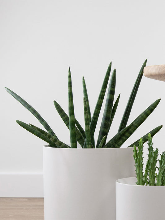 albertanglepot_large_white_lifestyle1_miljuu.com_1312-006