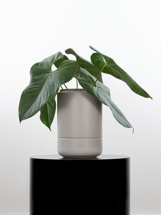 almavase_sand_lifestyle1_miljuu.com_1312-013