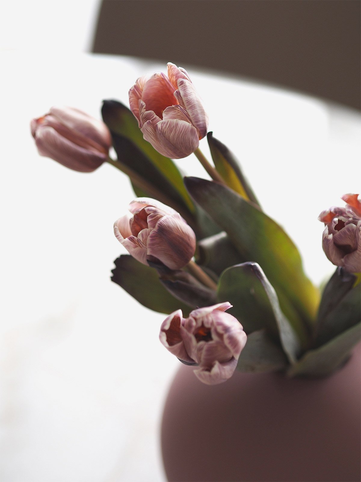 ballvase_20cm_cinderrose_lifestyle3_miljuu.com_1304-006