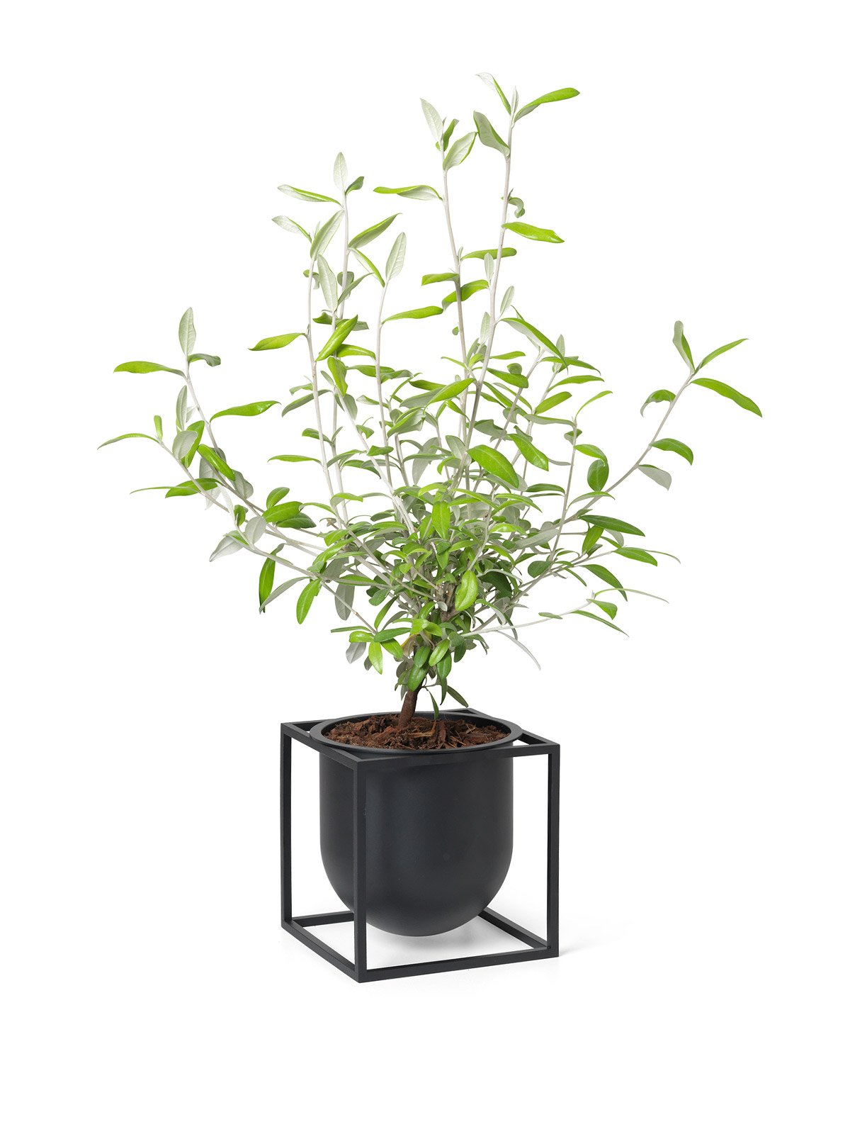 kubusflowerpot14_black_lifestyle3_miljuu.com_1302-009