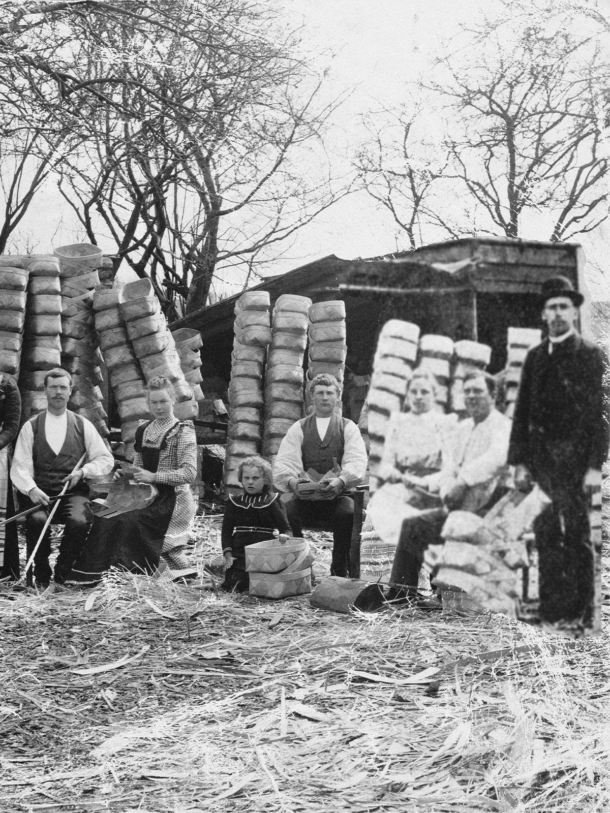 naturalashbasket_story2.2_portrait_miljuu.com_per-olafjohansson