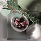 eatingsanta_small_white_lifestyle1_miljuu.com_1307-032
