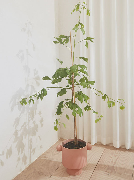 inkakanapot_large_rose_lifestyle1_miljuu.com_1315-013