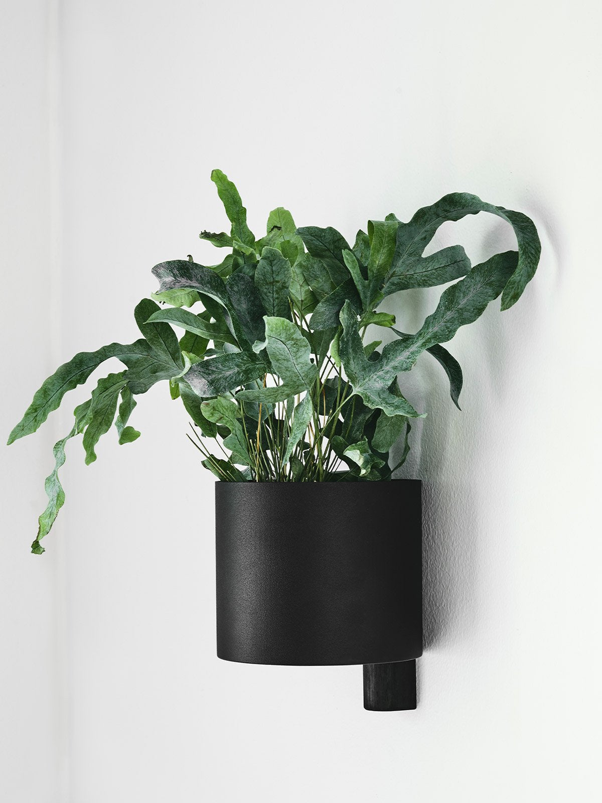 kollageflowerpot_lifestyle1_miljuu.com_1309-003