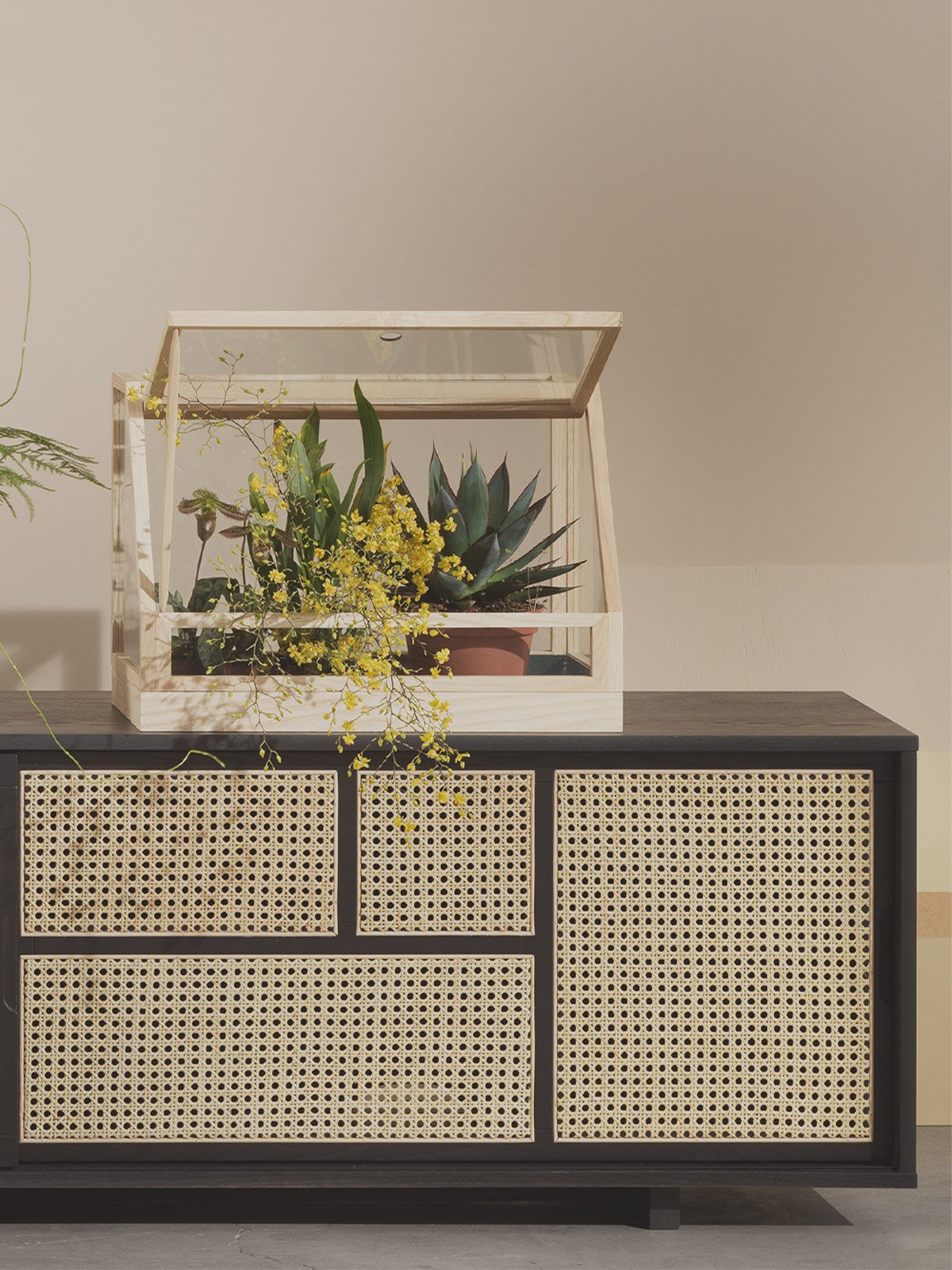 minigreenhouse_ash_lifestyle1_miljuu.com_1301-011