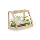 minigreenhouse_ash_product1_miljuu.com_1301-011