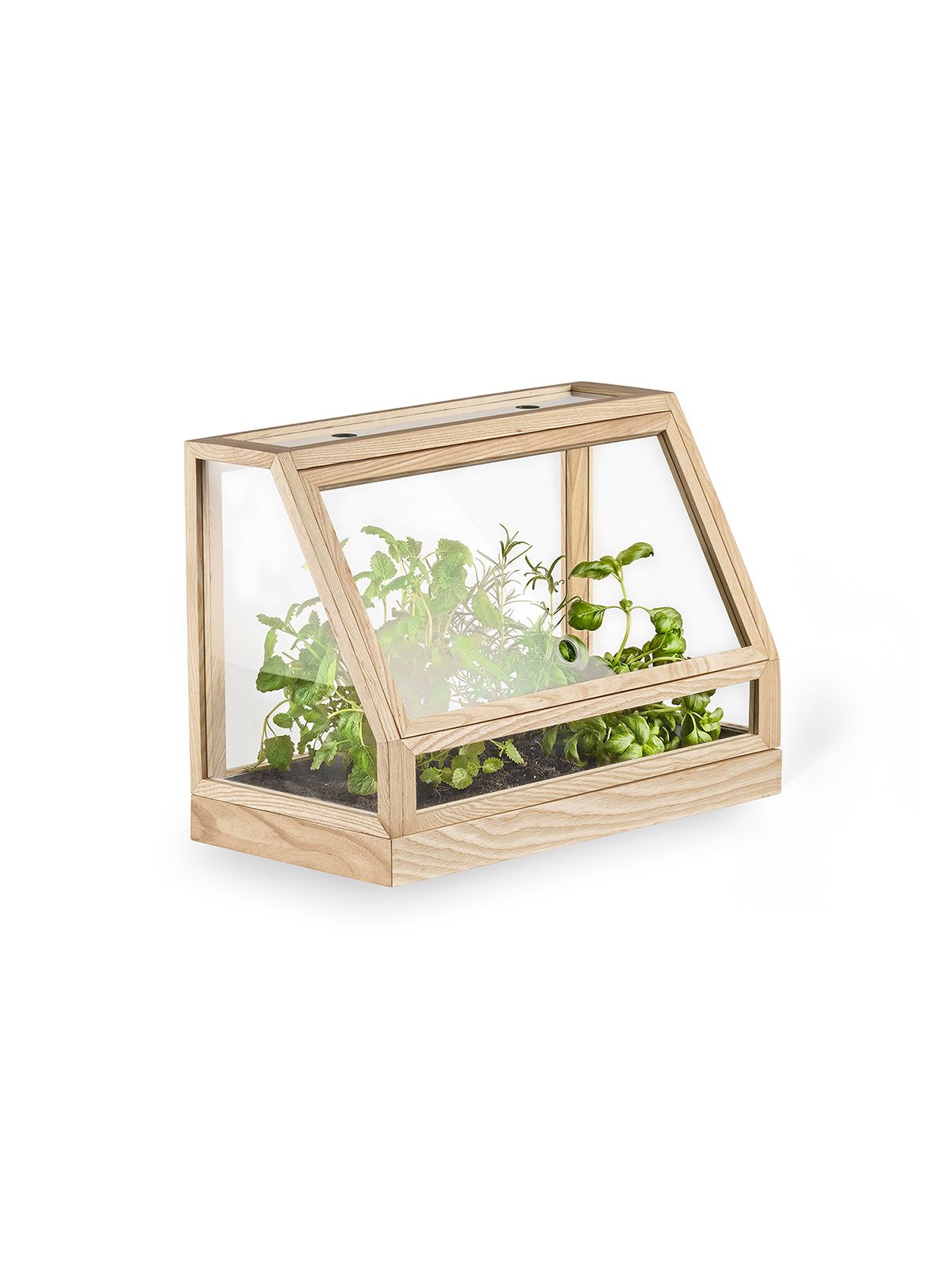 minigreenhouse_ash_product1_miljuu.com_1301-011