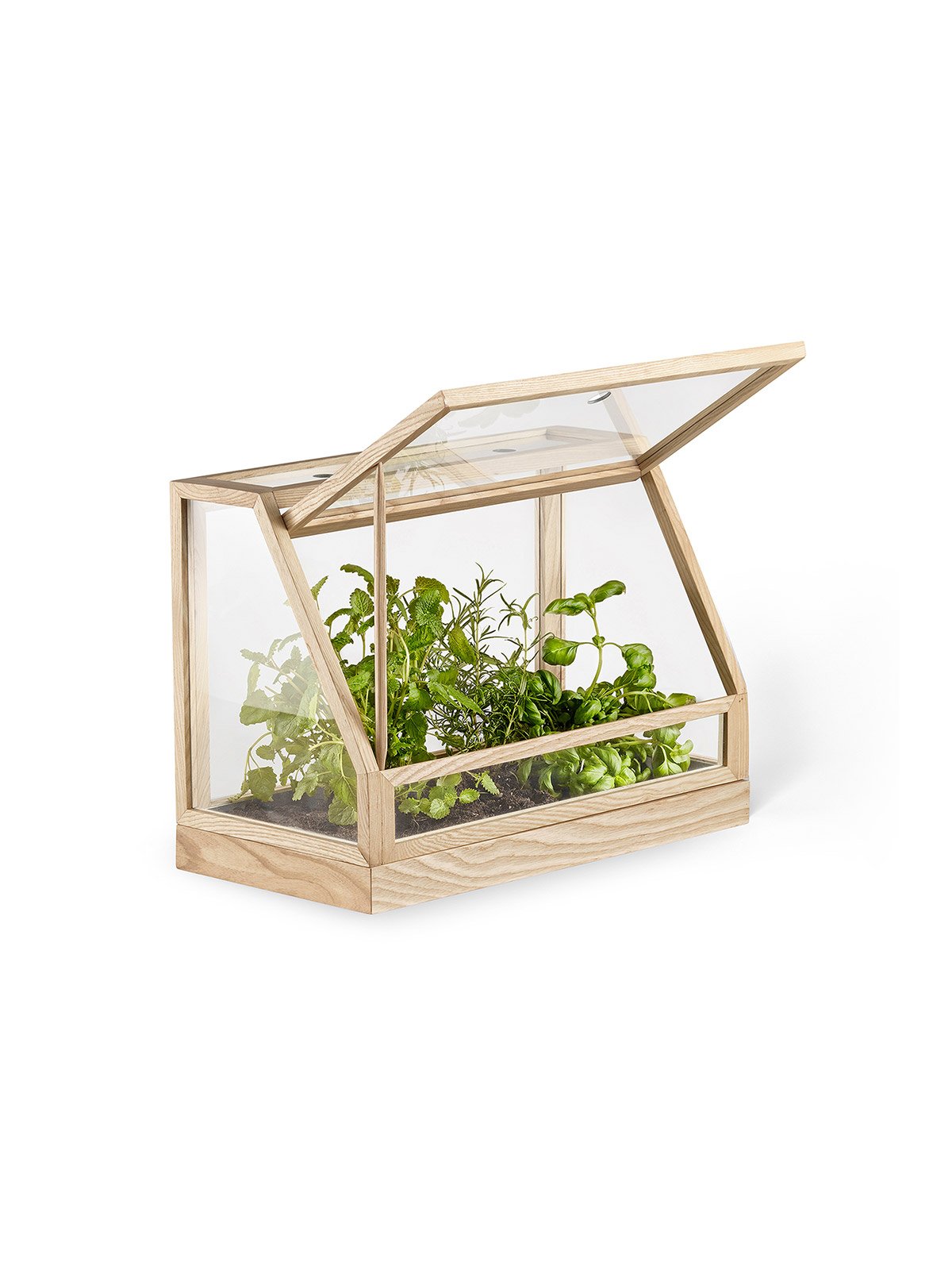 minigreenhouse_ash_product2_miljuu.com_1301-011