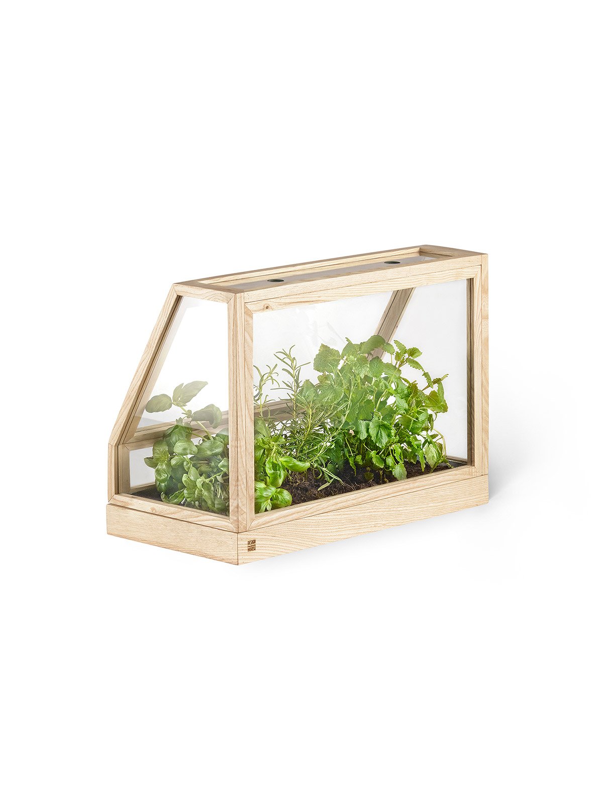 minigreenhouse_ash_product3_miljuu.com_1301-0113
