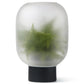 neblflowerpot_mega_black_product1_miljuu.com_1309-005